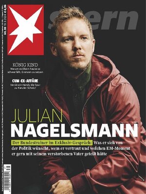 cover image of stern